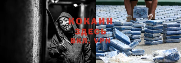 шишки Балабаново