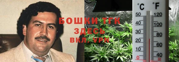 эйфоретик Баксан